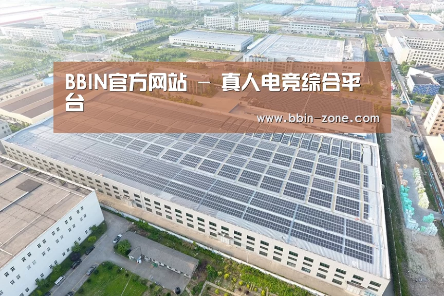 案例展示二