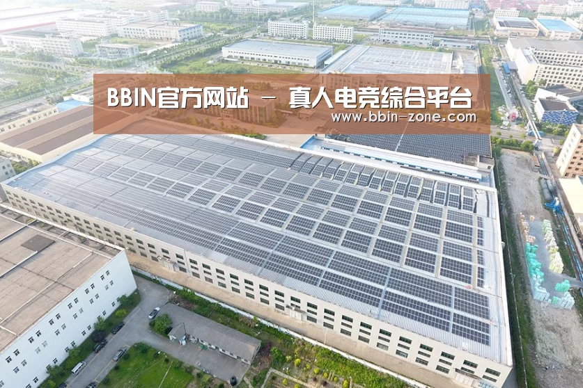 案例展示一