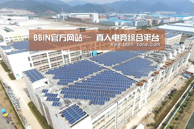 案例展示一