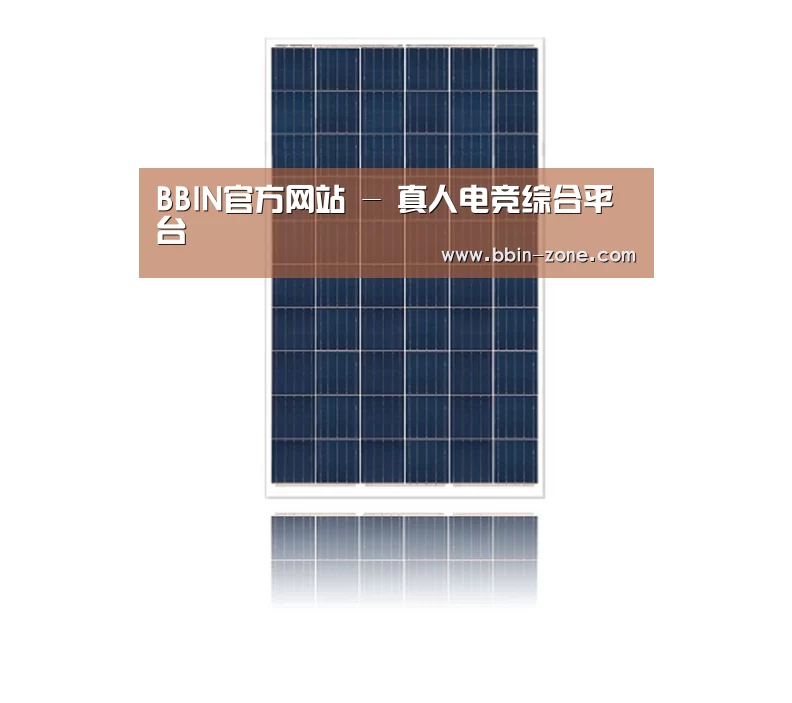 产品名称一