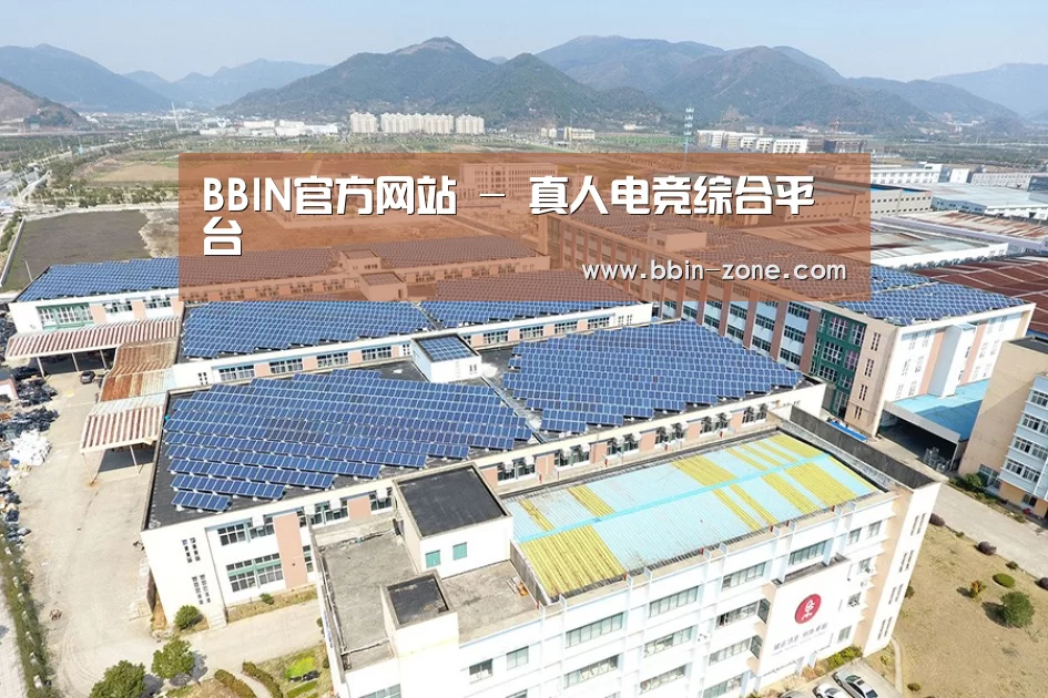 案例展示二