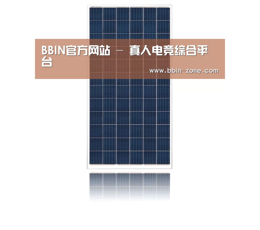 产品名称一