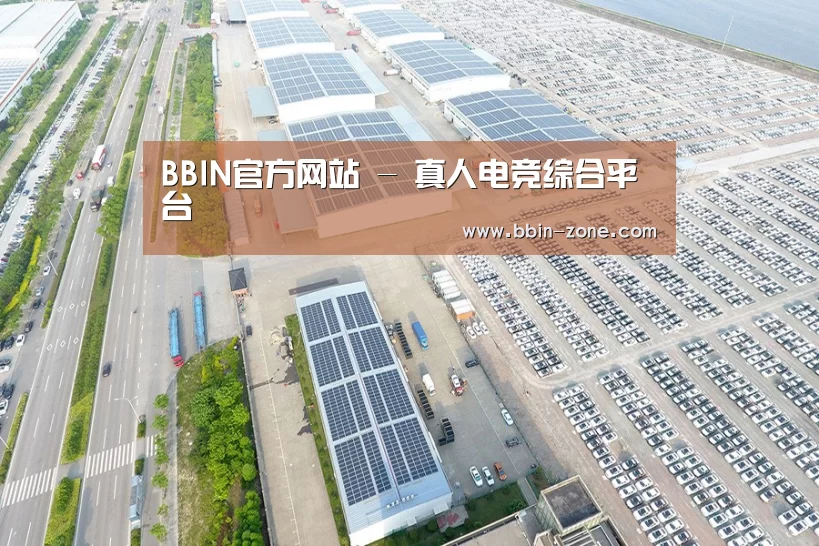 案例展示四
