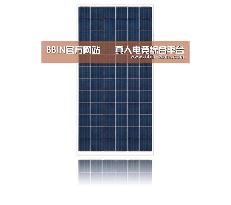产品名称一