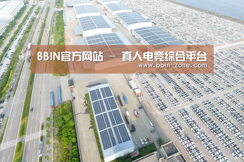 案例展示二