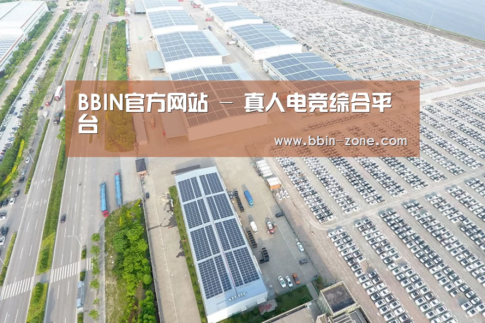 案例展示三