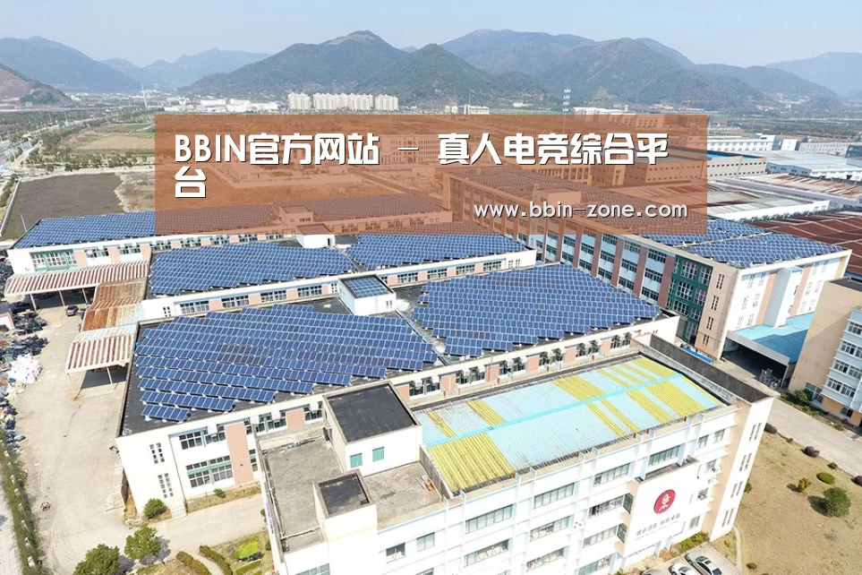 案例展示三