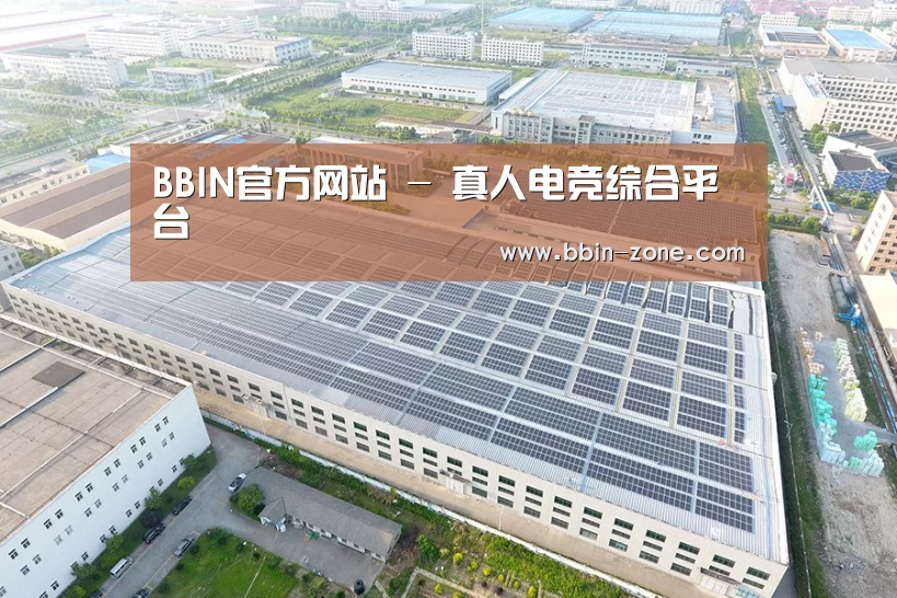案例展示四