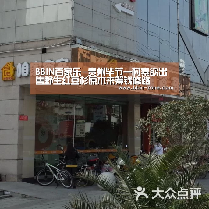 BBIN官网