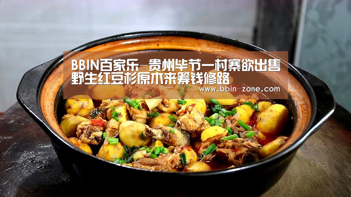 BBIN视讯