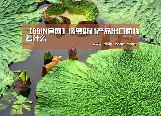 BBIN百家乐