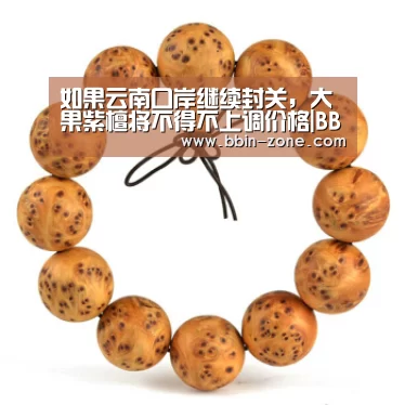 如果云南口岸继续封关,大果紫檀将不得不上调价格|BBIN百家乐(图3) BBIN百家乐