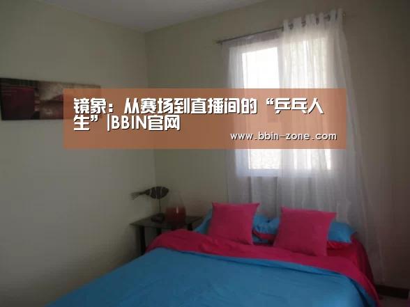 镜象:从赛场到直播间的“乒乓人生”|BBIN官网(图4) BBIN百家乐