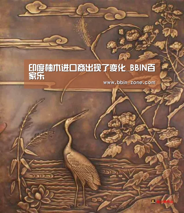 BBIN视讯