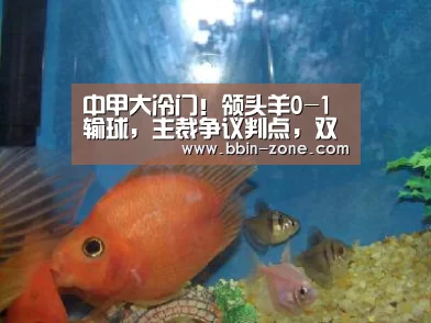 中甲大冷门!领头羊0-1输球,主裁争议判点,双方大规模冲突_BBIN真人(图3) BBIN百家乐